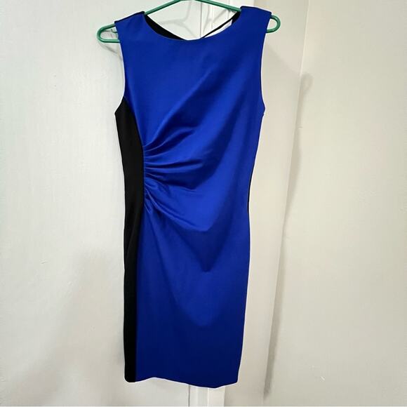 Diane von Furstenberg Laura Sleeveless Ruched Sheath Dress - Picture 6 of 12